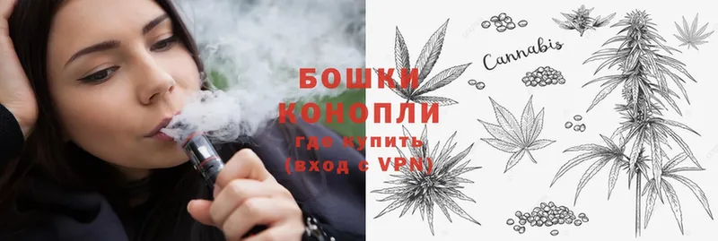 Каннабис SATIVA & INDICA  как найти наркотики  Новокузнецк 